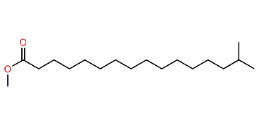 Methyl 15-methylhexadecanoate